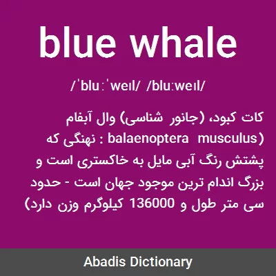 معنی blue whale